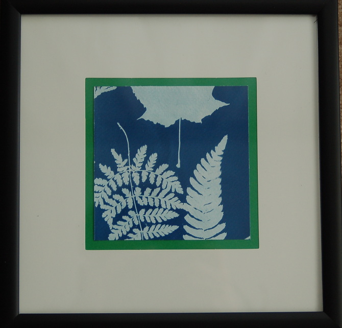 Cyanotype, Pinhole and Medium Format Nathalie M Harris Photography